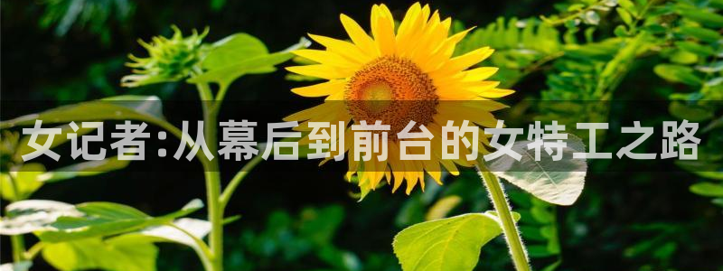 浮力影院最新网站：女记者:从幕后到前台的女特工之路