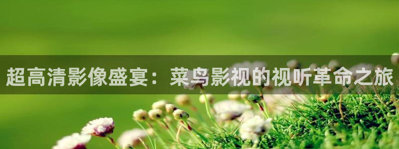 浮力影院在线地址：超高清影像盛宴：菜鸟影视的视听革命之旅