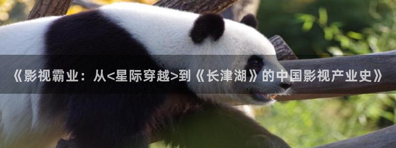 亚洲浮力影院：《影视霸业：从<星际穿越>到《长津湖》的中国影视产业史》